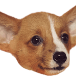 Image iconne