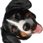 Image iconne