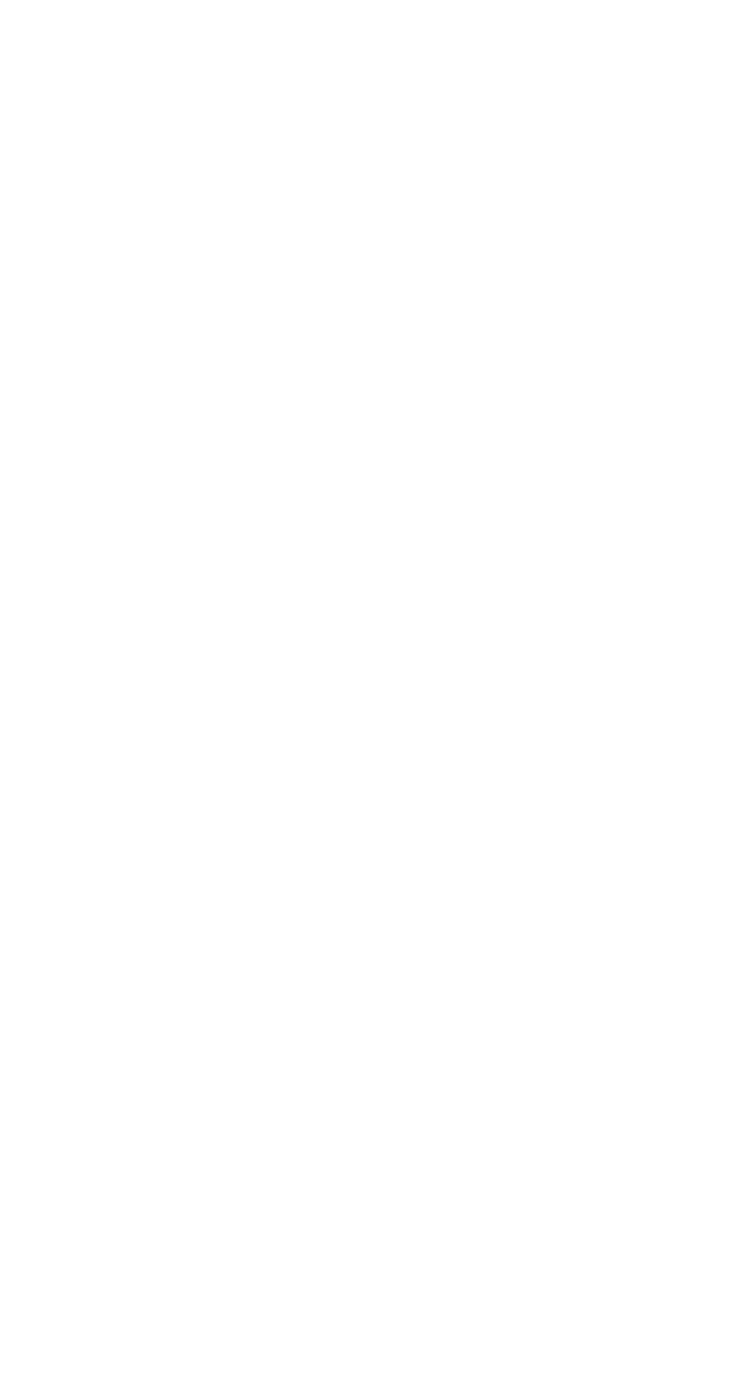 Image iconne