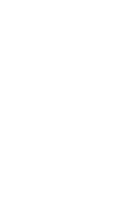 Image iconne